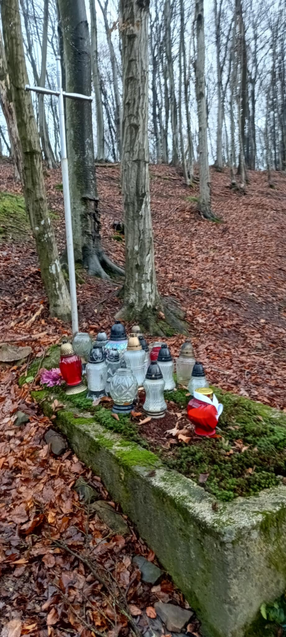 Na zdjęciu przedstawiono samotną mogiłę, nieznanego mężczyzny. Na niej złożone są znicze i kwiaty.