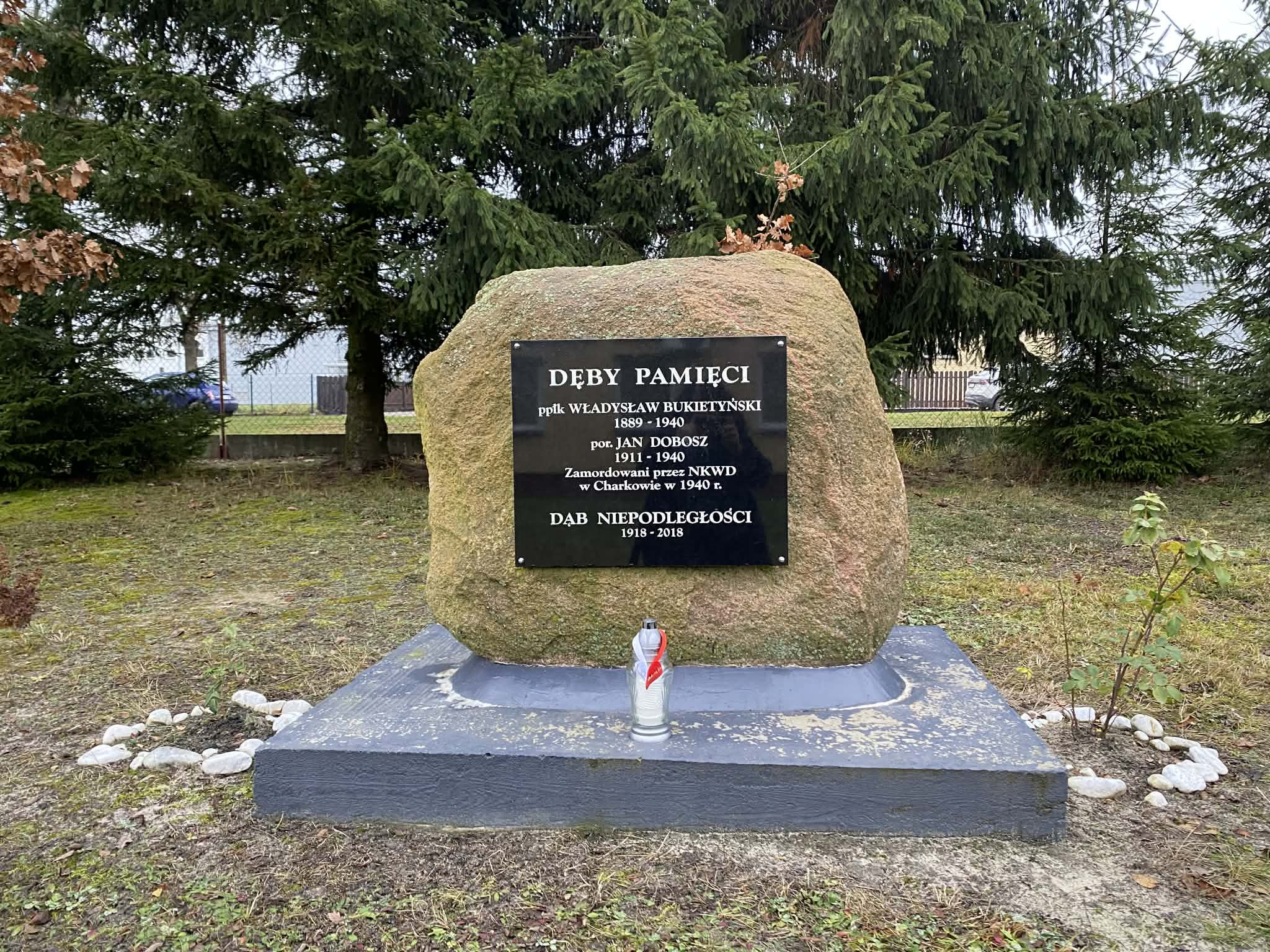 Dęby Pamięci ofiar zbrodni katyńskiej otaczające obelisk - poświęcony 2 jej ofiarom