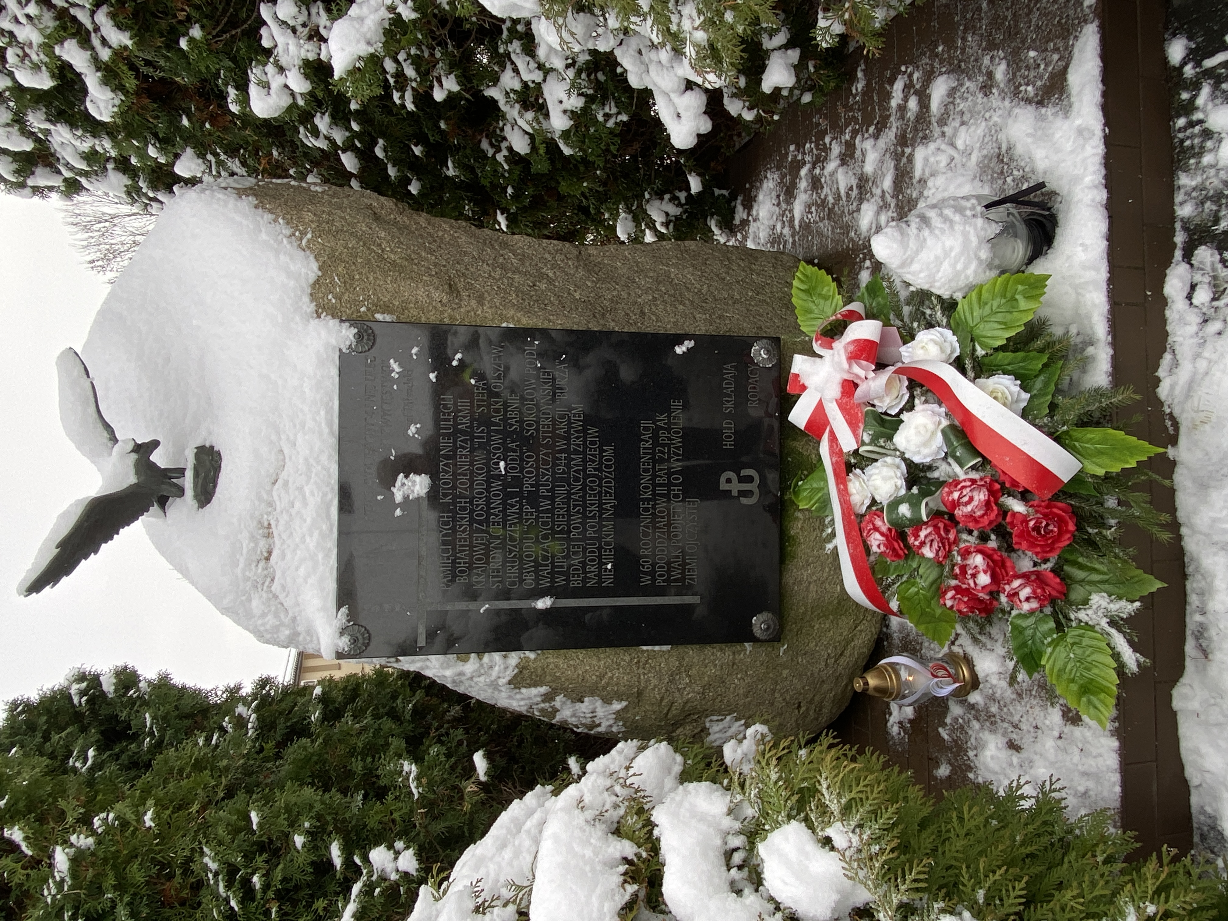 Granitowa tablica przymocowana do dużego kamienia. Dokoła ozdobne żywotniki.