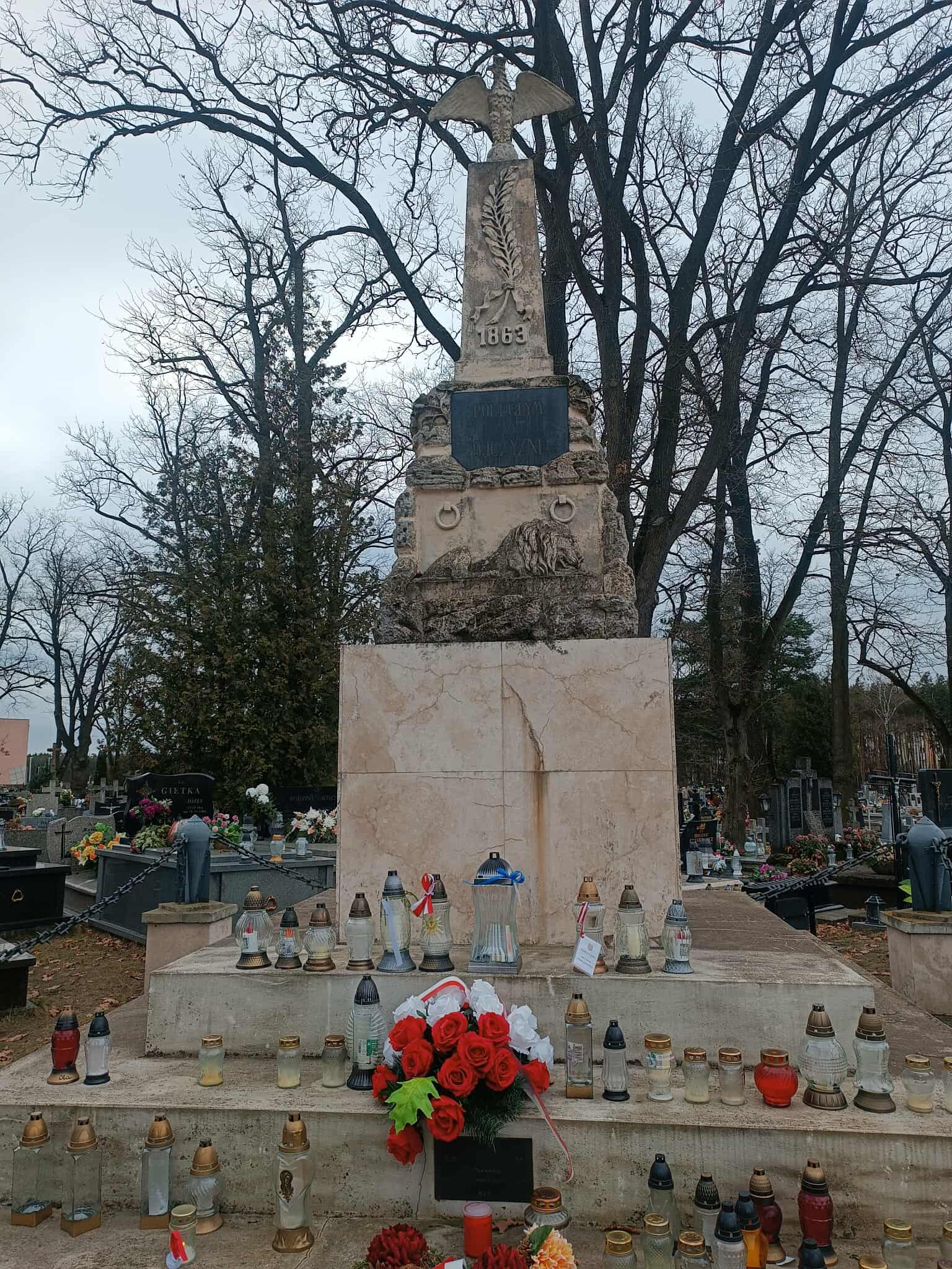 Zdjęcie przedstawia Pomnik (Mogiła Zbiorowa Powstańców z 1863 r.) w Rudniku nad Sanem
