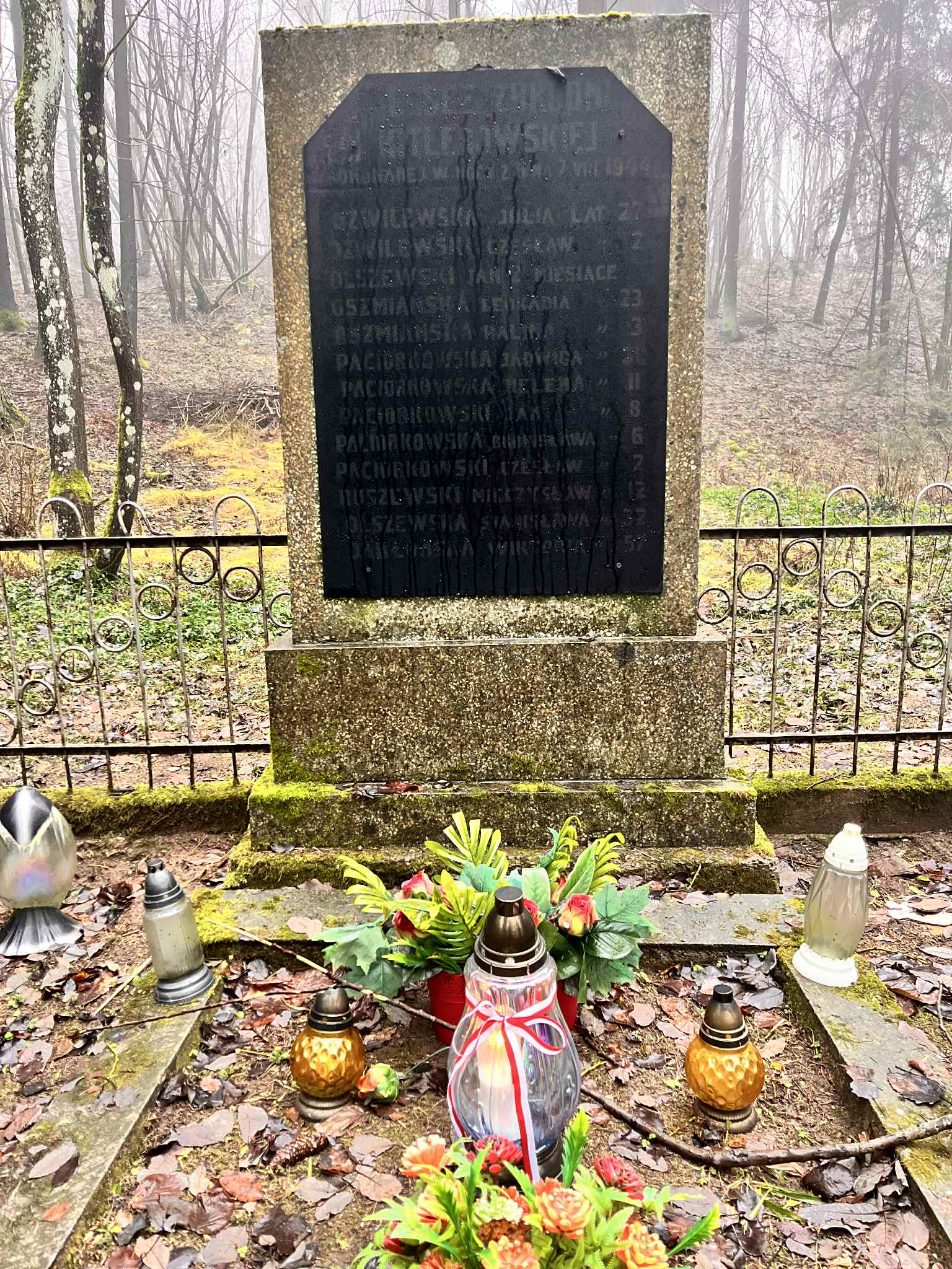 Zdjęcia przedstawiają kamienny pomnik poświęcony 11 zamordowanym Polakom.