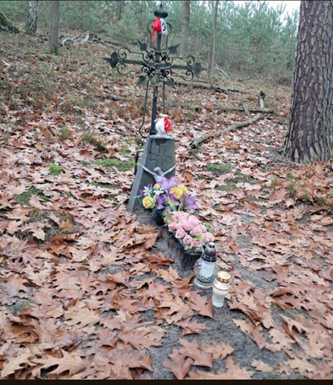 Na zdjęciu widać niewielki grób z metalowym krzyżem położony w lesie.