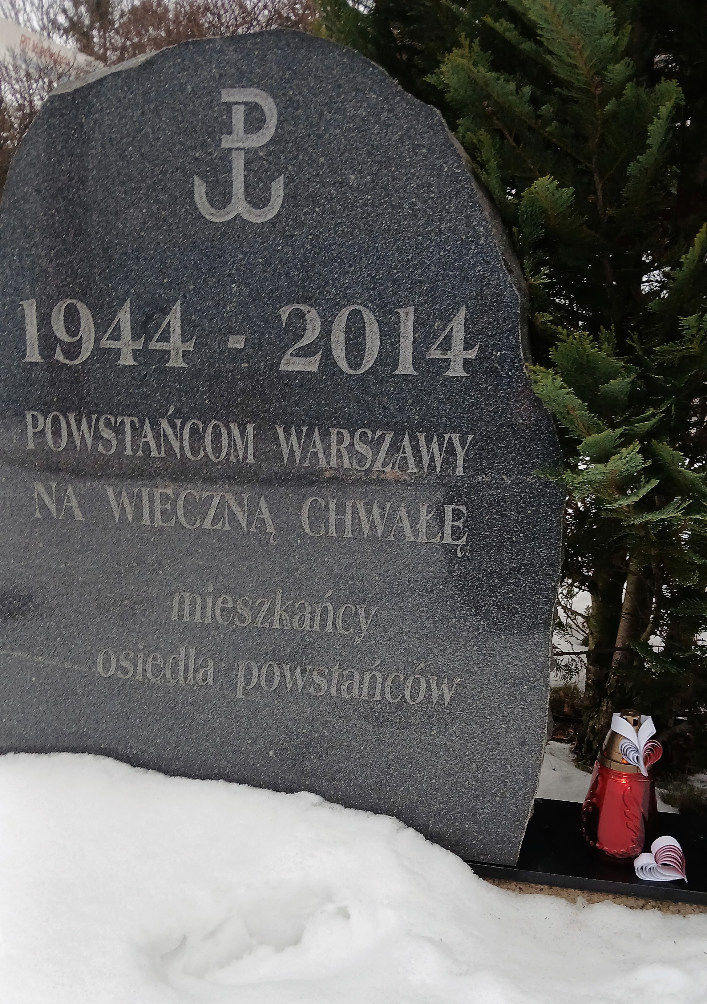 Monument ma postać dużego, pionowo ustawionego bloku ciemnego granitu o nieregularnych krawędziach.